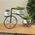 METAL TRICYCLE W/ 3 PLANTERS