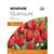 TULIP RED IMPRESSION 10 BULBS