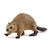 Schleich Beaver Toy Figurine