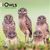 Owls 2024 Mini 7x7