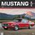 Mustang 2024 Square FOIL